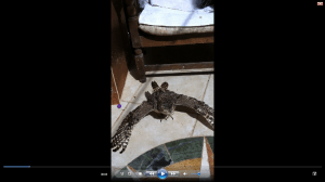 Totally enjoying the cool down spray!