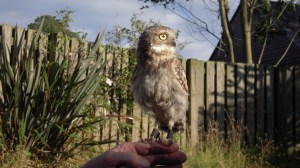 Peanut showing off his long legs!