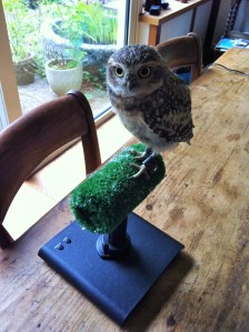 Peanut weigh in Sept 2015