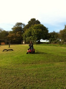Mowing a Meadow