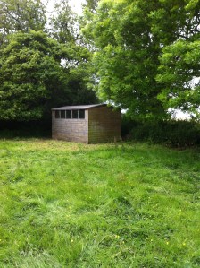 Garden Shed