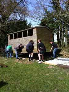 Shed on the move