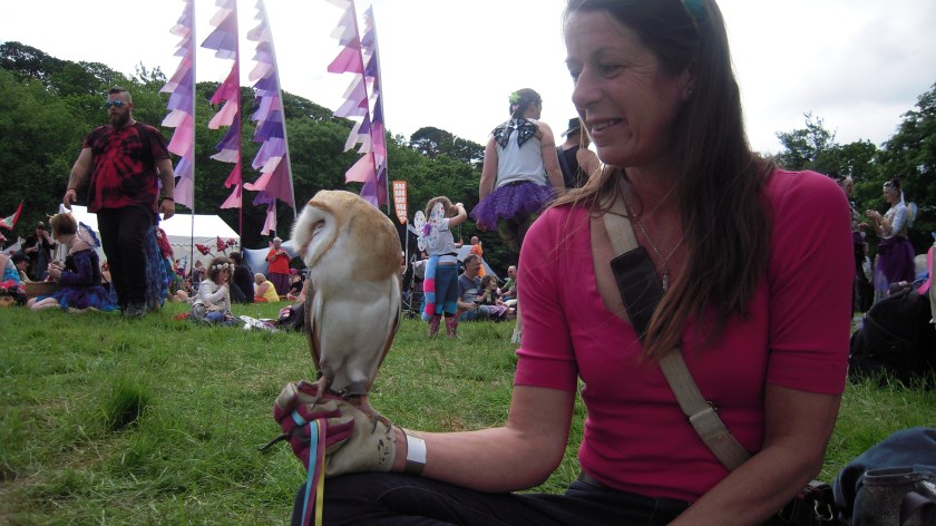 Whisper relaxing with the fairies