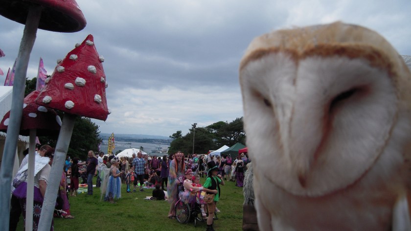 Whisper snoozes by the mushrooms