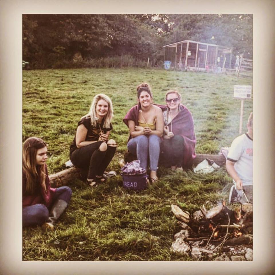 friends in the Owl field